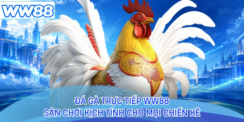 Đá Gà Trực Tiếp WW88 - Sân Chơi Kịch Tính Cho Mọi Chiến Kê