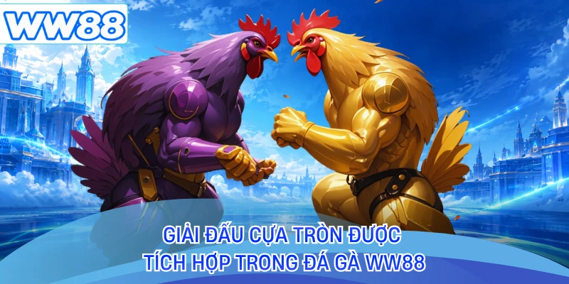 Giải đấu cựa tròn được tích hợp trong đá gà WW88