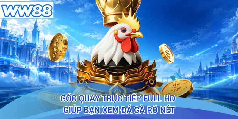 Góc quay trực tiếp full HD giúp bạn xem đá gà rõ nét