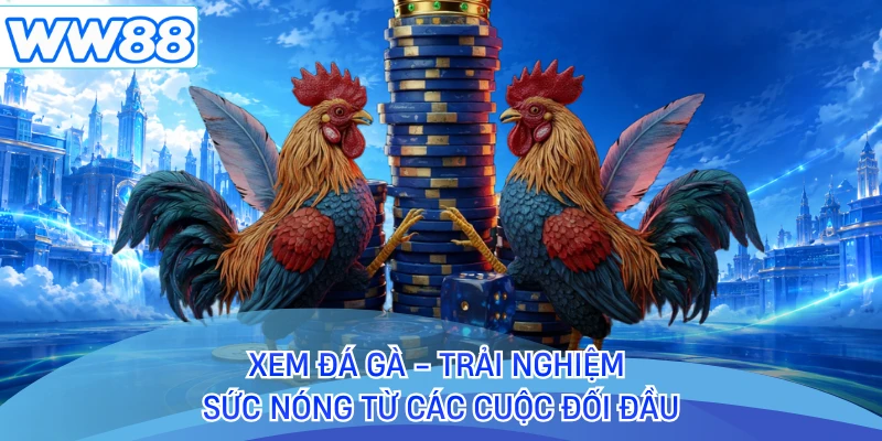 Xem Đá Gà - Trải Nghiệm Sức Nóng Từ Các Cuộc Đối Đầu